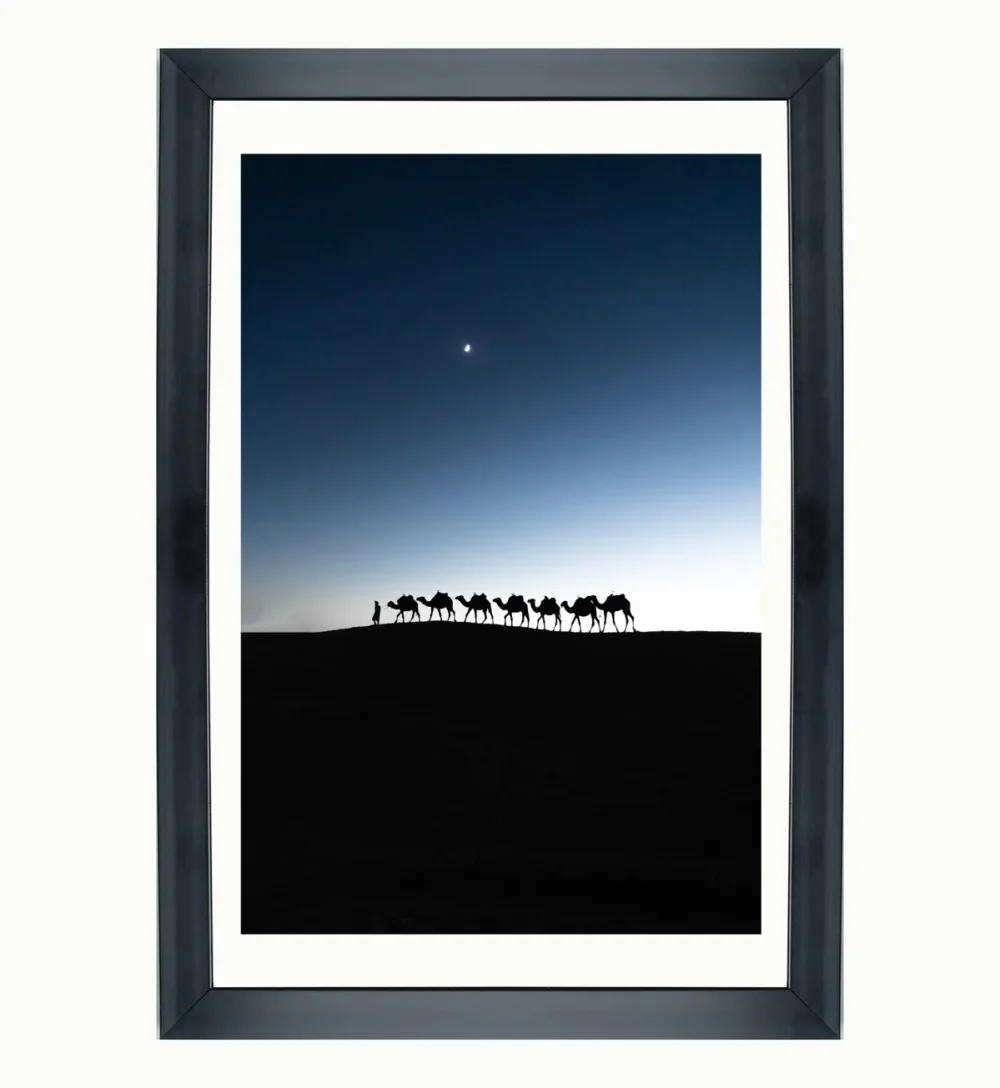 Moonlit Caravan: Camels on the Moroccan Dunes