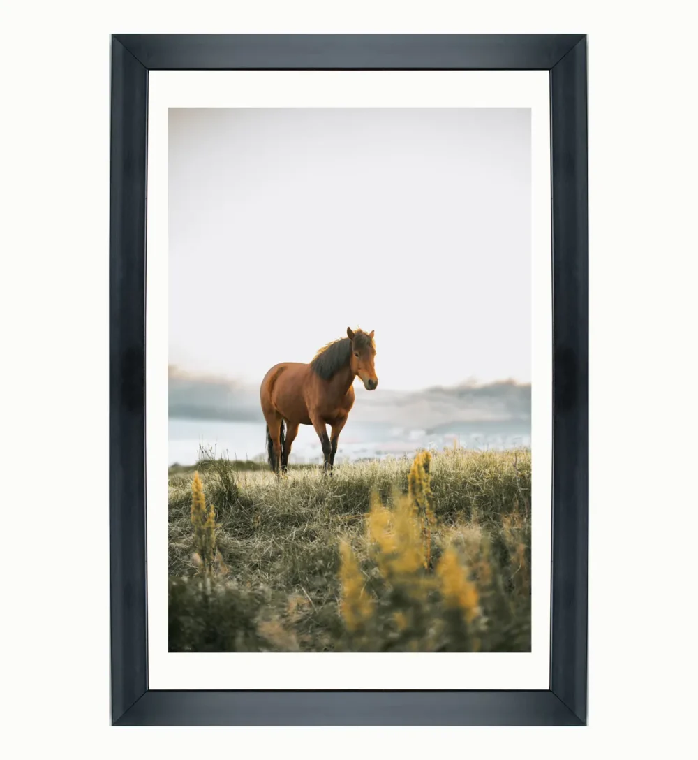 Icelandic Beauty: Horse in a Scenic Field wallart photoframe